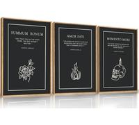 HLNIUC Marcus Aurelius Meditations Quote Framed Wall Art, Amor Fati Summum Bonum Memento Mori Stoicism Wall Decor(16x24x3),Inspirational Philosophy Canvas Painting for Living Room, Bedroom, Office