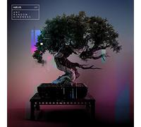 HÆLOS - Any Random Kindness