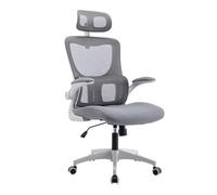HLRTBCN Ergonomic Office Chair Adjustable Height Executive Comfortable Sitting Swivel Computer Breathable Mesh Comfortable (Grey) Aqiong