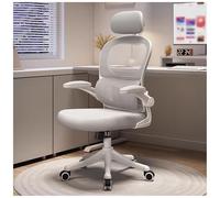 HLRTBCN Ergonomic Office Chair, Heavy Duty Executive Task Chair With Adaptive Lumbar Support & Headrest, Breathable Mesh Swivel Desk Chair With Flip Up Armrest Aqiong