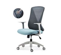 HLRTBCN Ergonomic Office Chair Office Chairs, Executive Mesh Computer Chair With High Reinforced Storage Backrest, Adjustable Swivel And Armrest Lumbar Support Desk Chair (Color : A) Aqiong