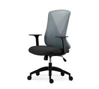 HLRTBCN Ergonomic Office Chair Office Chairs, Executive Mesh Computer Chair With High Reinforced Storage Backrest, Adjustable Swivel And Armrest Lumbar Support Desk Chair (Color : B) Aqiong