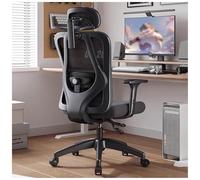 HLRTBCN Ergonomic Office Chair With Adjustable Lumbar Support & Headrest, Comfortable Executive Computer Desk Chair, Breathable Mesh Swivel Chair For Home Office Aqiong