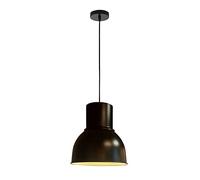 HLRTBCN Metal Ceiling Light Pendant Matching Suspension Adjustable Cord Ceiling Lounge Dining Room Kitchen Bedroom Hallway Over Table Breakfast Bar Vintage Suspended Industrial Lamp Aqiong