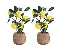 HLTER 2 Pcs Artificial Potted Fruit Tree, 11inch Yellow Bonsai Tree Artificial Lemons Tree Decorative Fake Plant Mini Potted Plants for Indoor Decor