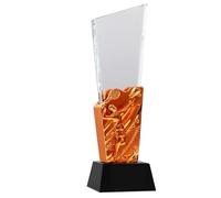 HLUONGTN Trophies Badminton Prize Trophy Badmintonship Gamesards Student Group Souvenirs Singles and Doubles Badminton Competittrophy/Copper/8X29Cm