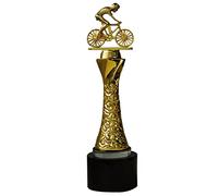 HLUONGTN Trophies,Bicycle Raceship Trophy Cycling Event Competittrophy Commemorative Prize Trophy/D/8X27Cm