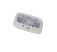 HLWXMDZ FOR KIA FOR OPTIMA FOR LOTZE 2007-2010 INTERIOR DOME LIGHT ASSEMBLY-GRAY 928702G500QW 92870-2G500QW Car Dome Reading Light