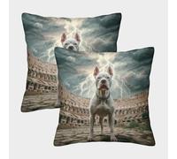 HLXZMCVBT Cute Dog Short Plush Cute Throw Pillow Ornaments Set of 2 for 50x50cm