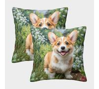 HLXZMCVBT Cute Dog Velvet Cute Pillow Cover Outdoor Decor Set of 2 for 50x50cm