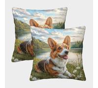 HLXZMCVBT Cute Dog Velvet Cute Throw Pillow Couch Sofa Bed Living Room Bedroom Set of 2 for 45x45cm