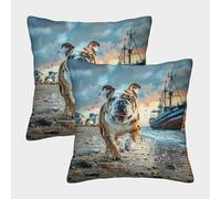 HLXZMCVBT Cute Dog Velvet Interesting Pillow Cover Square Decorative Set of 2 for 50x50cm