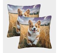 HLXZMCVBT Cute Pet Dog Short Plush Interesting Pillow Cover Outdoor Decor Set of 2 for 45x45cm