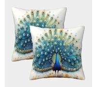 HLXZMCVBT Peacock Velvet Cartoon Cushion Cases Couch Sofa Bed Living Room Bedroom Set of 2 for 50x50cm
