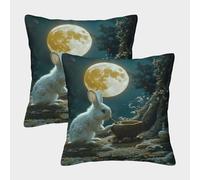 HLXZMCVBT Rabbit Short Plush Throw Pillow Outdoor Decor Set of 2 for 45x45cm