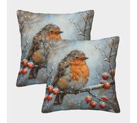 HLXZMCVBT Robin Velvet Pillow Cover Cushion Cases Outdoor Decor Set of 2 for 40x40cm