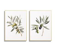 HLYEHDIAD 2Pcs Wall Art Canvas Watercolor Olives Branch Poster Still Life Herbs Canvas Painting Print Wall Art Mediterranean Kitchen Living Room Home Decor/Unframed (40 * 60cm)