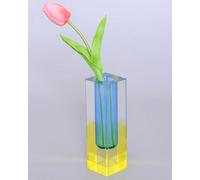 HLYU Acrylic Vase, Bud Vase for Centerpieces, Maximalist Decor Cute Flowers Vases for Modern Home, Office, Bedroom, Living Room, Dining Table (Blue, Yellow)