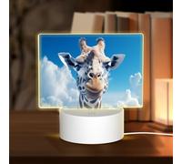 HMBGFW A Giraffe Rectangle Acrylic Night Light, Nightlights with 3 Light Modes,USB Port, Perfect for Bedrooms and Bathrooms