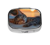 HMBGFW Sleeping Cats In The Desert Travel Pill Organizer, Compact Pill Boxwith 2 Compartments, Portable Medicine Organizer