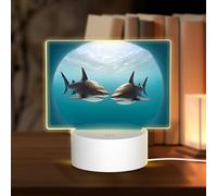 HMBGFW Two Sharks at The Bottom of The sea Rectangle Acrylic Night Light, Nightlights with 3 Light Modes,USB Port, Perfect for Bedrooms and Bathrooms