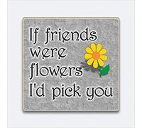 HmHome Magnet If Friends Were Flowers I'd Pick You Best Friend Birthday Gift