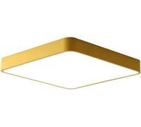 HMJGDZG Lights Rectangular Ultra Thin Panel Light Flush Mount Close to Ceiling Fixture,for Living Room
