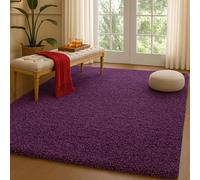 HMWD Area Rug Non Slip Shaggy Rugs Living Room Bedroom Carpet Floor Mat, Modern Plain Thick Pile Area Rugs Machine Washable, Hallway Kitchen Rugs And Runners (Purple, 60 x 110 cm (Rectangular))