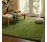 HMWD Area Rug Non Slip Shaggy Rugs Living Room Bedroom Carpet Floor Mat, Modern Plain Thick Pile Area Rugs Machine Washable, Hallway Kitchen Rugs And Runners (Green, 120 x 170 cm (Rectangular))