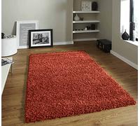 HMWD Modern Large Fluffy Shaggy Area Rugs 50mm/5cm Deep Pile Rugs Living Room Decor Bedroom Decor, Anti-Shed Thick Pile Floor Carpet, Home Decor Hallway Runner Rugs (160x230 cm, Terracotta)