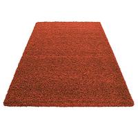 HMWD Modern Luxurious 5cm High Pile Anti-Skid Shaggy Rug Non-Shed Plain Soft Touch Floor Carpet For Living Room Bedroom Medium Hallway Runner Mat - Available in 9 Colors (Terracotta)