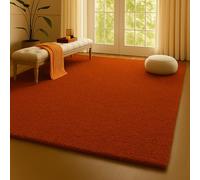 HMWD Shaggy Area Rug for Living Room - Soft 5mm Thick Pile Carpet, Non-Slip & Machine Washable - Floor Mat for Bedroom, Extra Large, Medium & Small (Terracota, 120 x 170 cm)