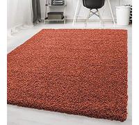 HMWD Shaggy Rugs 50mm/5cm Thick Modern Rugs Living Room Bedroom Decor, Fluffy Anti-Shed Deep Pile Floor Carpet, Home Decor Shag Hallway Runner (Terracotta, 160 x 230 cm (Rectangular))
