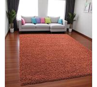 HMWD Shaggy Rugs for Living Room, Fluffy and Non Slip Rug, Hallway Runner, Washable Rug, Non-Shed Plain Super Soft Floor Carpet for Living Room, Home Decor (Terracotta, 60 x 110 cm (Rectangular))