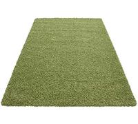 HMWD X Large Small Fluffy Shaggy Large Area Rug Thick Pile Hallway Runner Non Slip Living Room Bedroom Non-Shed Floor Carpet- Available in 6 Exquisite Colors (Green, 120x170 cm)
