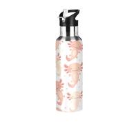 HMZXZ Water Bottle with Straw Leakproof Hot Water Bottle Cute Kawaii Axolotl Vacuum Insulated Bottle for Girls Boys Sports 600ml
