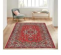 HNBFKD Red Rug Classic Style Carpet Non Slip Living Room Popular Modern Rug Vintage Abstract Style BohoEntrance Door Mat - 45x76cm/18x30inch