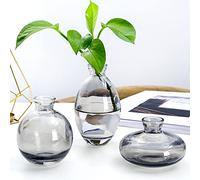 Hniuyun 3Pcs/Set Glass Vase, Small Mini Flowers Bud Vases, Transparent Hydroponic Vase Minimalist Aesthetic Home Decor (Gray)