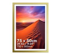 HNK Gold Photo Frames 75x50cm Engineered Wood and Plexiglass, 29.5x19.6 Inche Picture Frame Dual Orientation Landscape or Portrait, Poster Frame 750x500mm Wall Hanging Display Photos for Home