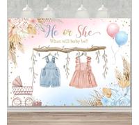 Hnmdmyi 10x6.5FT Gender Reveal Backdrop He or She Blue Pink Cute Clothes Boho Floral Pampas Grass Photography Background Gender Reveal Baby Shower Party Decorations Banner Photo Booth Props