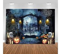 Hnmdmyi 8x6FT Halloween Backdrop Full Moon Graveyard Creepy Haunted Castle Spider Web Pumpkin Lantern Photography Background Kids Adult Family Halloween Party Decorations Banner Photo Booth Props