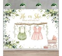 Hnmdmyi 9x6FT Gender Reveal Backdrop He or She What Will Baby Be Cute Clothes Green Eucalyptus Leaves Photography Background Gender Reveal Baby Shower Party Decorations Banner Photo Booth Props
