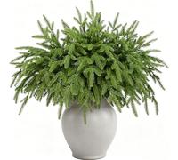 HNNFMY 30PCS Christmas Norfolk Pine Branch Artificial Real Touch Greenery Pine Stems for DIY Flower Arrangement Home Indoor Outdoor Christmas Tree Decoration