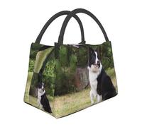 Hnnkloy Bad Dog Border Collie, Portable Lunch Bag, Insulated Tote Bag Durable Lunch Box Reusable Cooler Bag