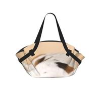 Hnnkloy Basset Hound,Portable Camping Mat Multifunctional Foldable Picnic Blanket As Camping Tote Bag For Traveling