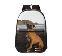 Hnnkloy Beach Brown Boxer Dog Portrait, 17 Inch Backpack With Pockets Casual Daypack Water Resistant School Bag
