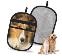 Hnnkloy Beautiful Sheltie Breed Dog, 2 Pack Pet Hair Removal Gloves For Bed,Carpet,Clothes,Sofa,Static Grooming Glove For Dogs & Cats