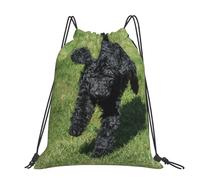 Hnnkloy Black Standard Poodle, Drawstring Backpack Unisex Sport Gym Bag Casual Daypack Drawstring Sackpack