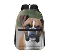 Hnnkloy Boxer Dog, 17 Inch Backpack With Pockets Casual Daypack Water Resistant School Bag