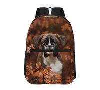 Hnnkloy Boxer Dogs Autumn, 17 Inch Backpack With Pockets Casual Daypack Water Resistant School Bag